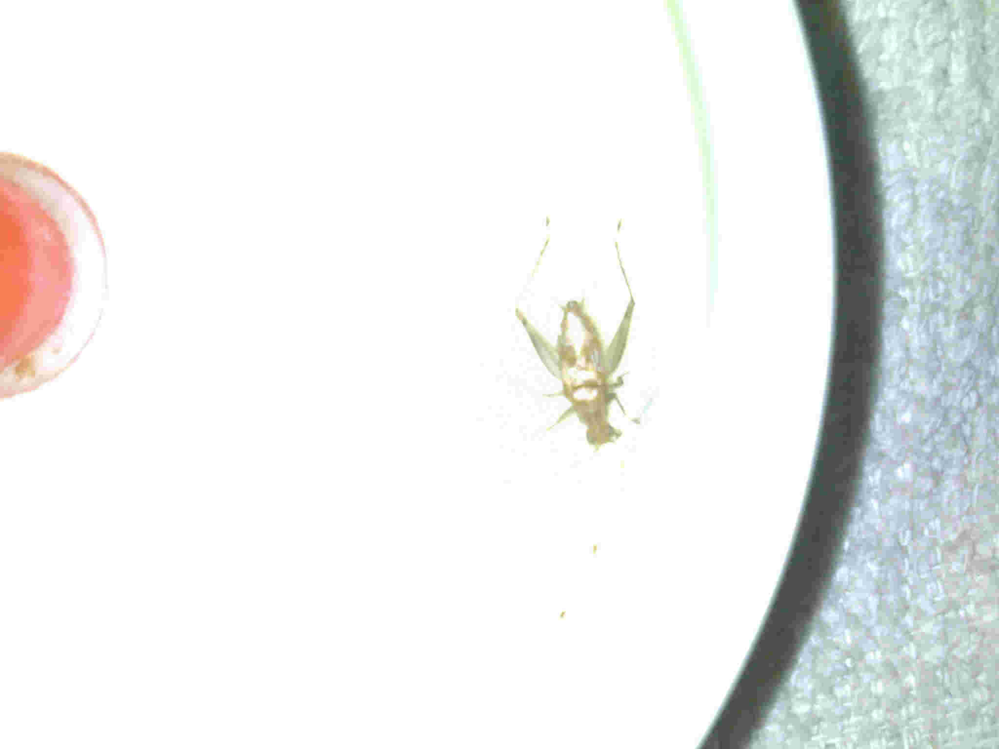 20110606213.jpg