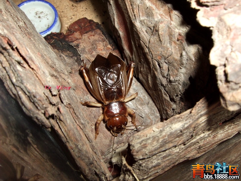 DSCF9259.jpg