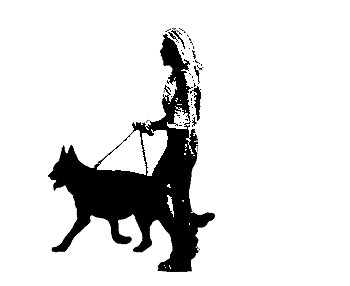 48_51145_21c047f3636c4c5.gif