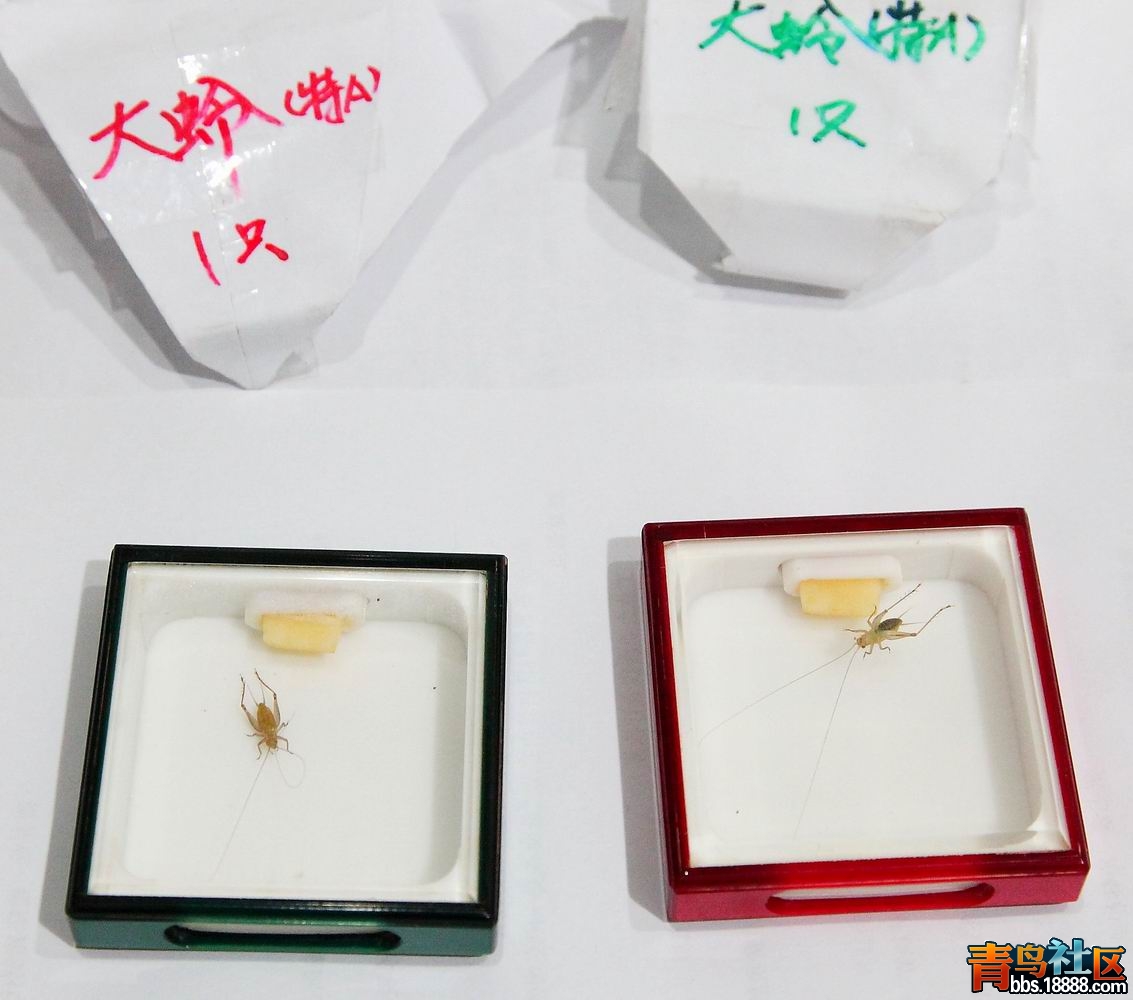 调整大小 IMG_3076.JPG