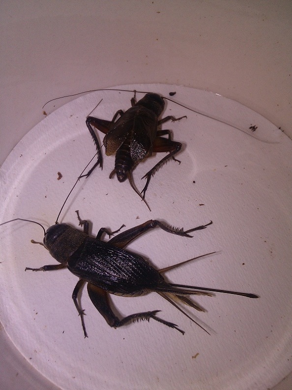 IMG20130504173856.jpg