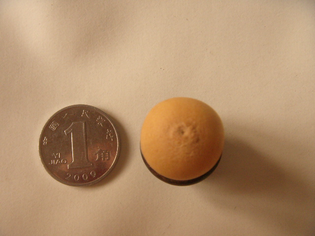 DSCN9751.JPG