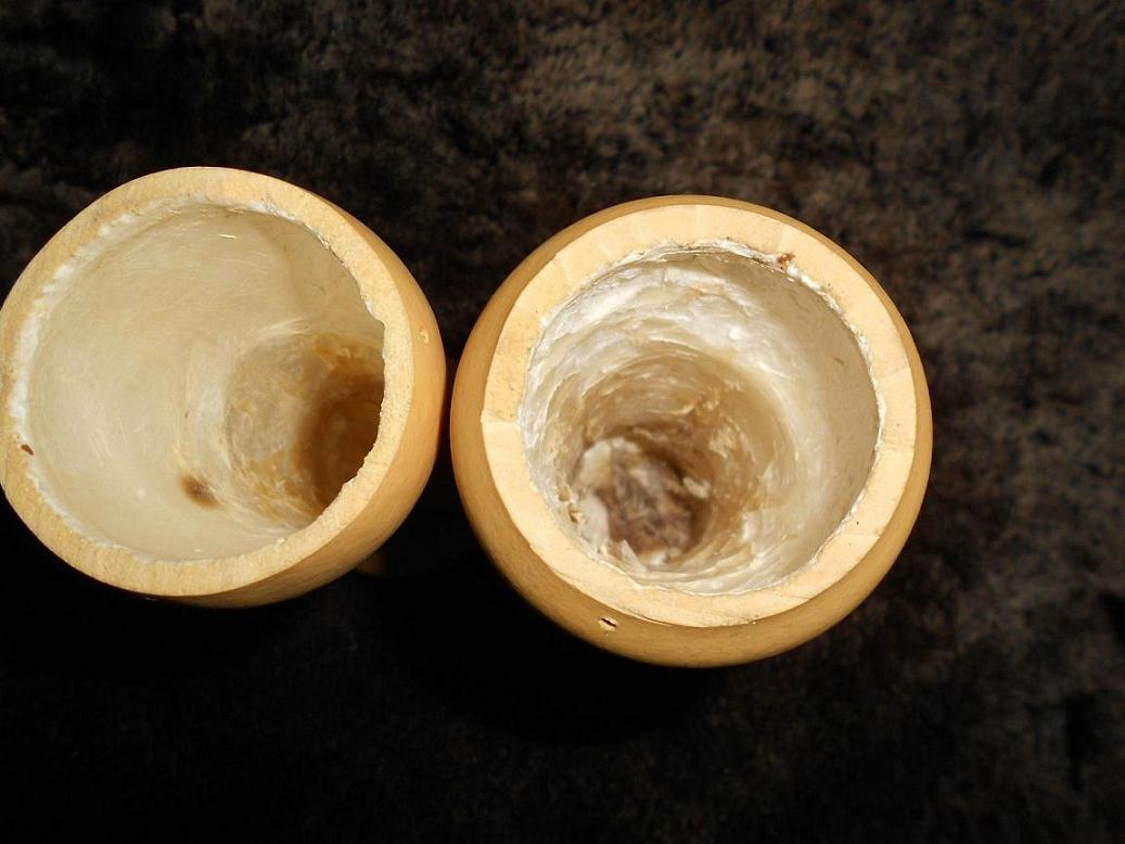 DSCN3598.JPG