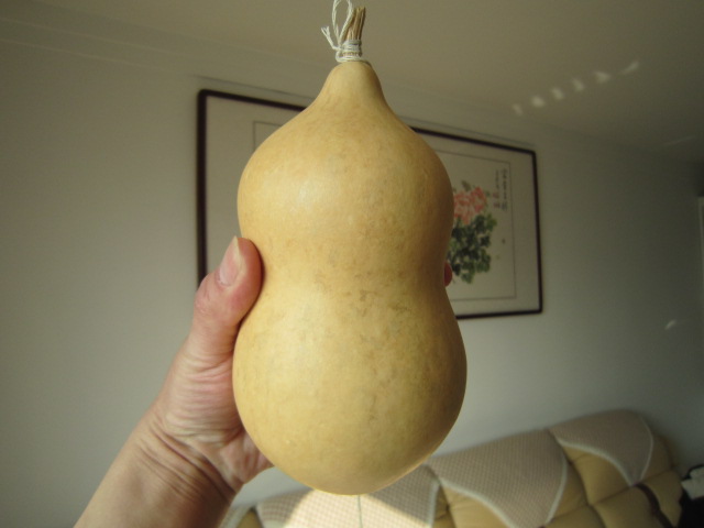 照片 004.jpg