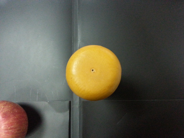 20140108_192556.jpg