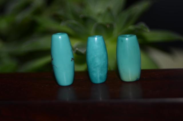 DSC_1700.jpg
