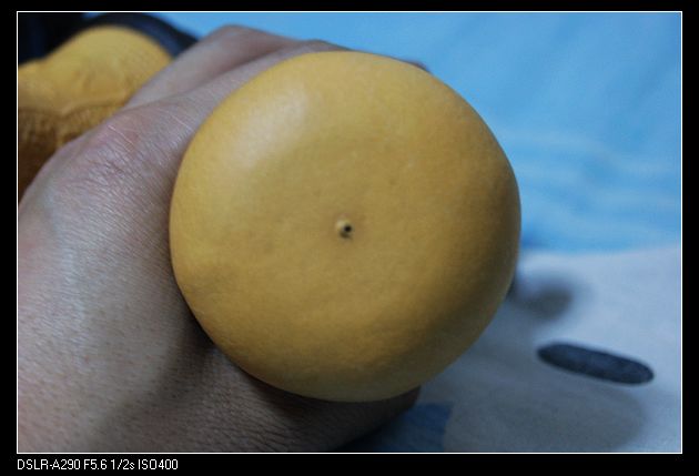 nEO_IMG_DSC02628.jpg
