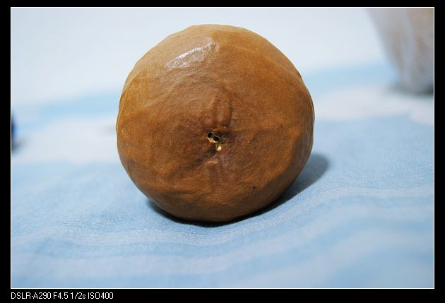 nEO_IMG_DSC02571.jpg
