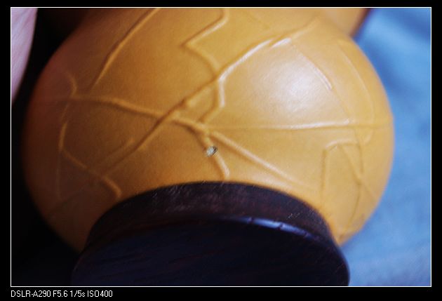 nEO_IMG_DSC02650.jpg
