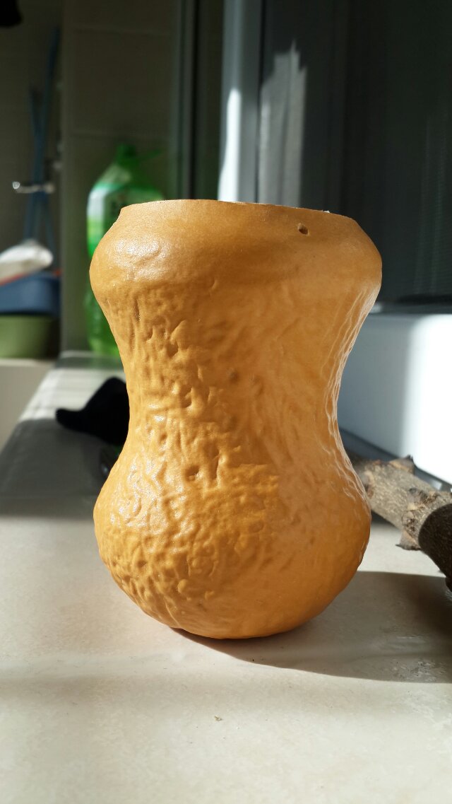 44.jpg