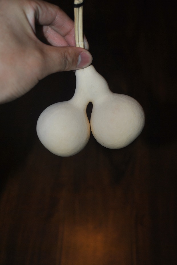DSC_0005.JPG