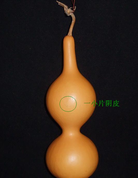 DSCF5962.jpg