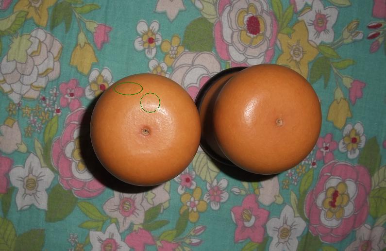 DSCF5930.jpg