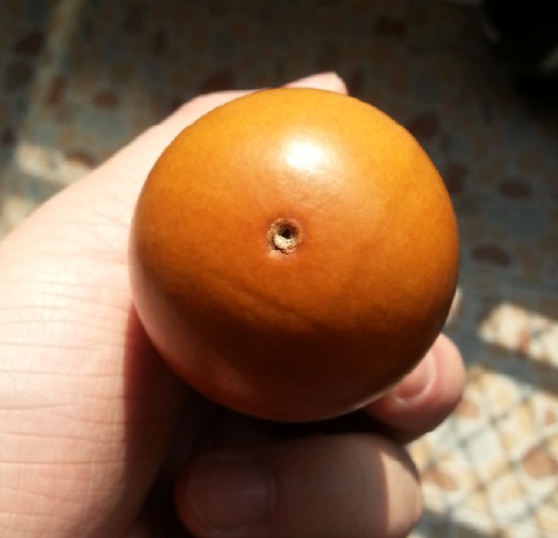 QQ图片20140110133156.jpg