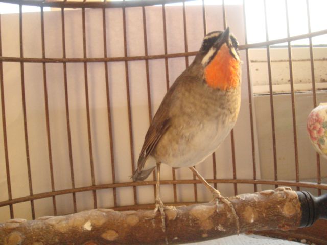 DSC01979.JPG
