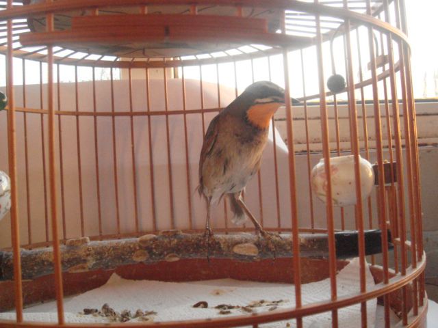 DSC02003.JPG