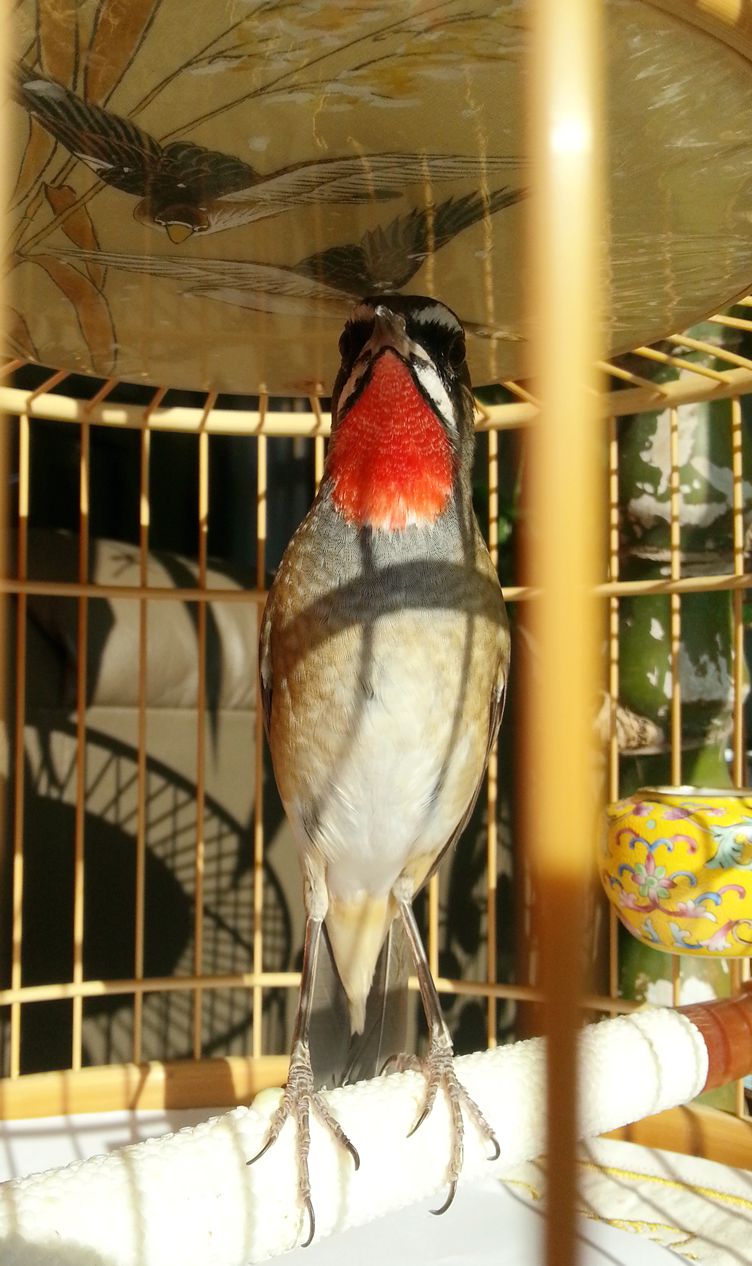 20140113_104108_副本.jpg
