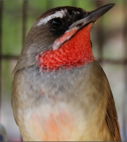 A~Q%6CGK{8L]`}T5M_G2W{W.jpg