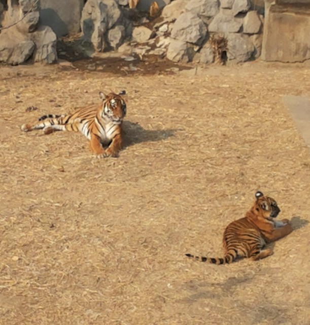 20140123_105548_1.jpg
