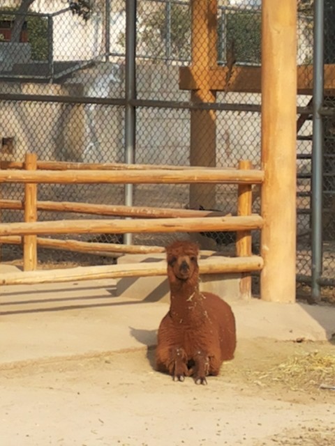 20140123_104636_1.jpg