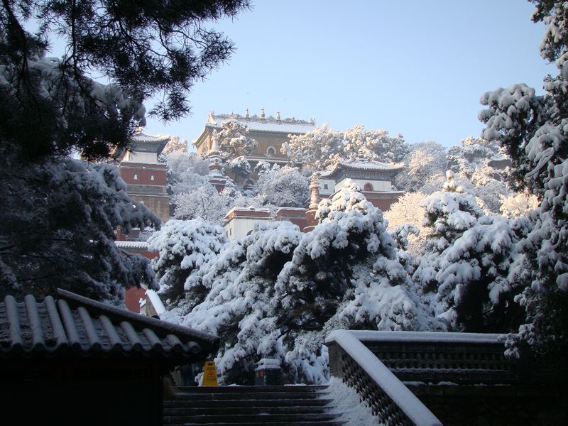 2013320213955611.jpg