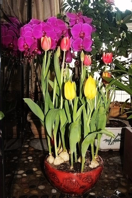 IMG_5458.JPG