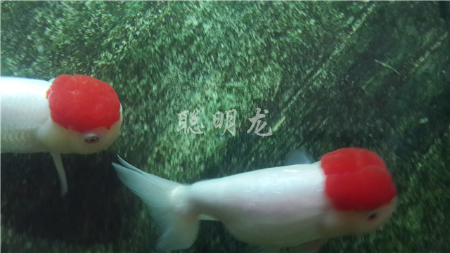 20140111_134443.jpg