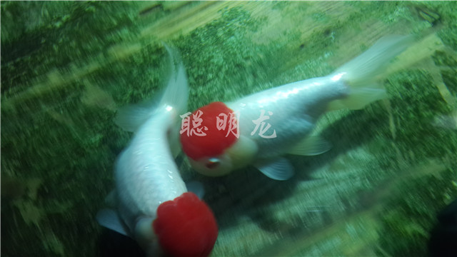 20140111_134412.jpg
