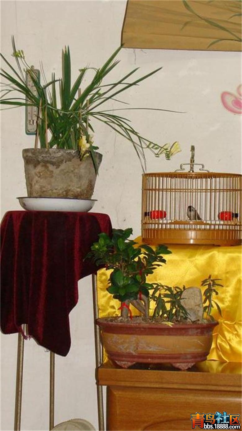 DSC03372.JPG