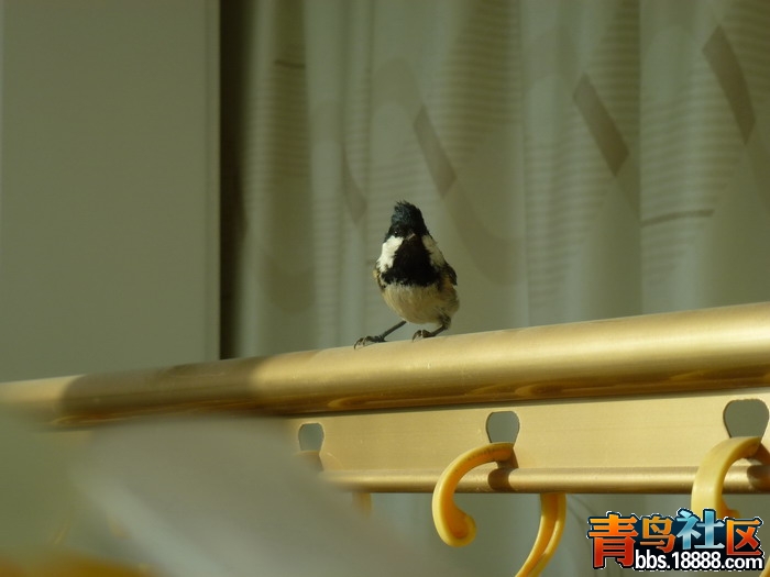 P1040414_调整大小.jpg