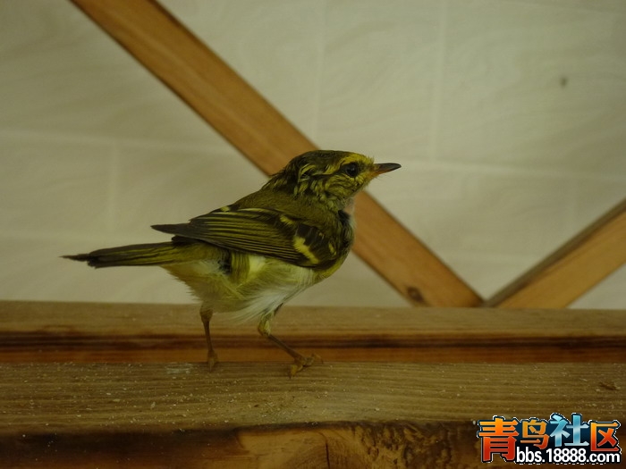 P1040362_调整大小.jpg