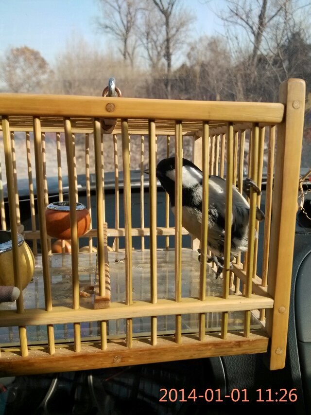 QQ图片20140101122544.jpg