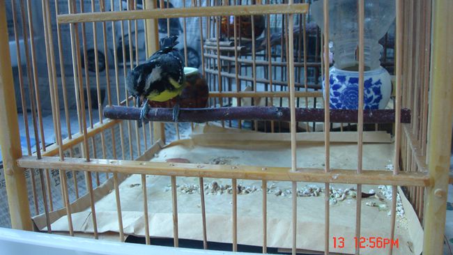 DSC06078.JPG