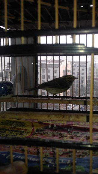 IMAG0716.jpg