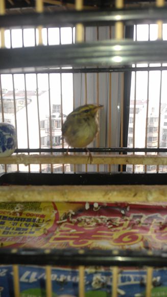 IMAG0711.jpg