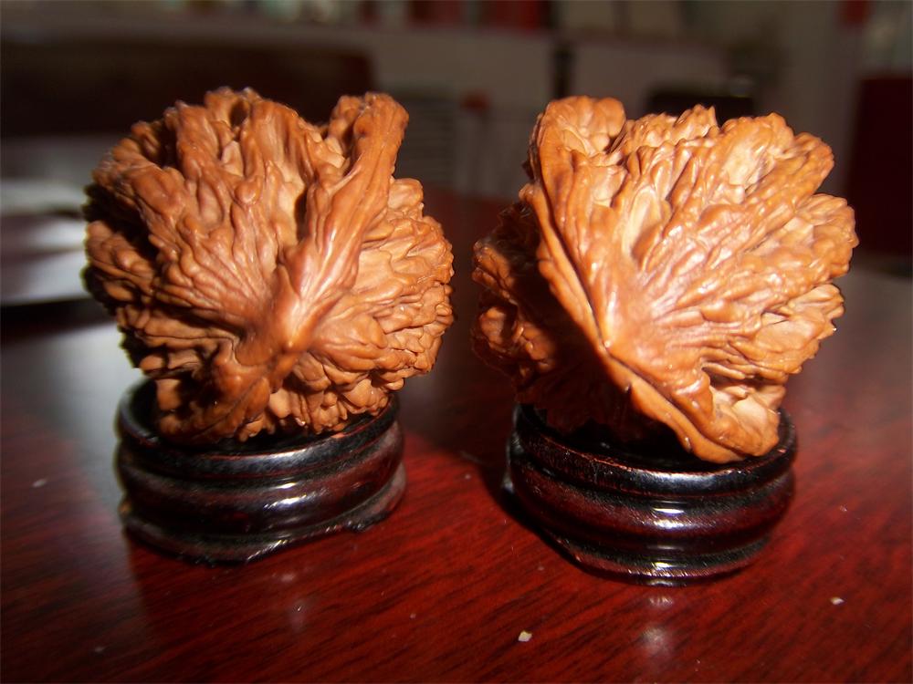 100_5092.JPG