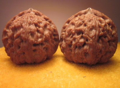 HRH}(5L0G)]0TJ2OKL(5G83.jpg