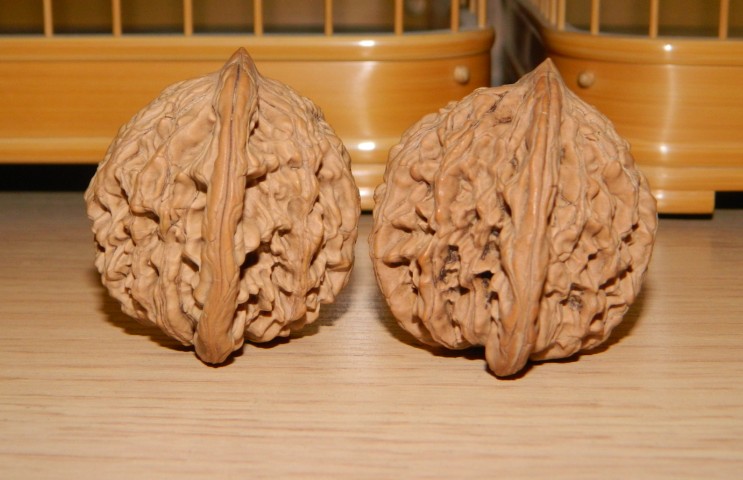 44.jpg