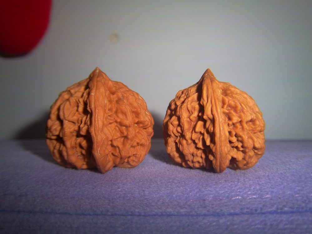 100_5136.JPG