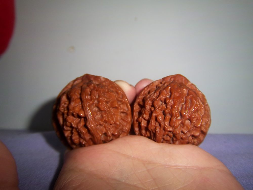 100_5173.JPG