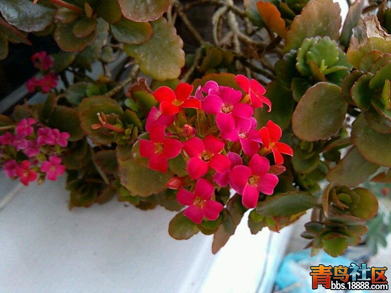 UC_Photo_002.jpg