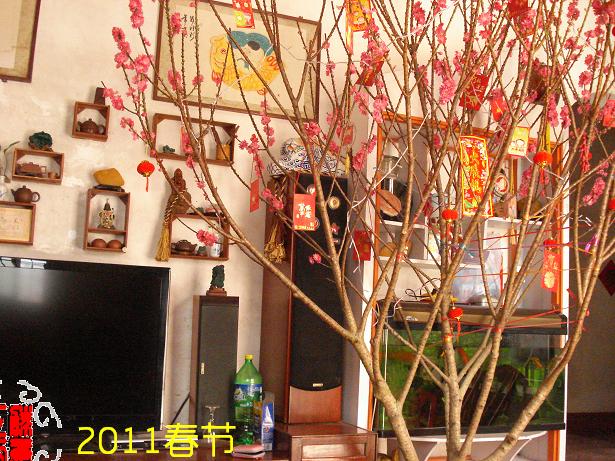 DSC02340.JPG