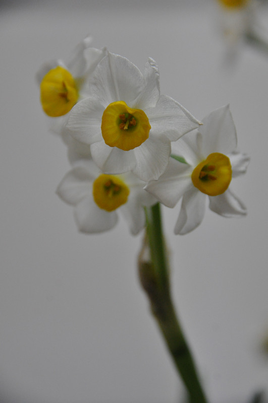 DSC_9123_副本.jpg