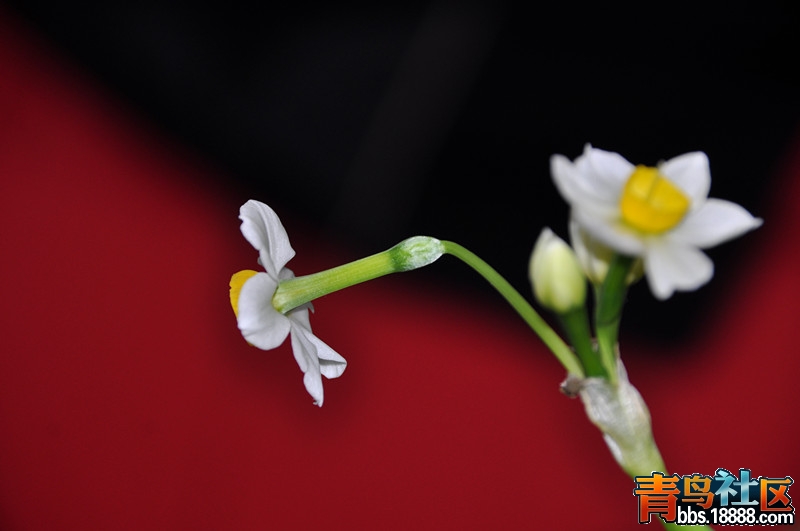 DSC_9090_副本.jpg