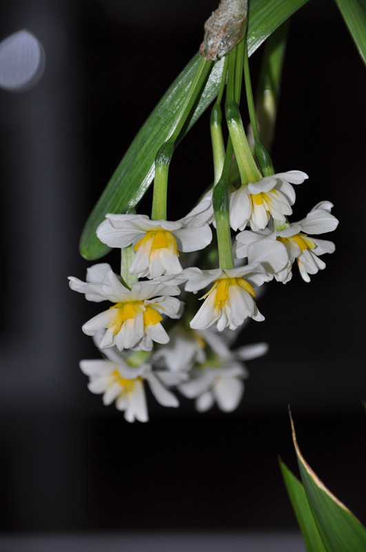 DSC_9083.JPG