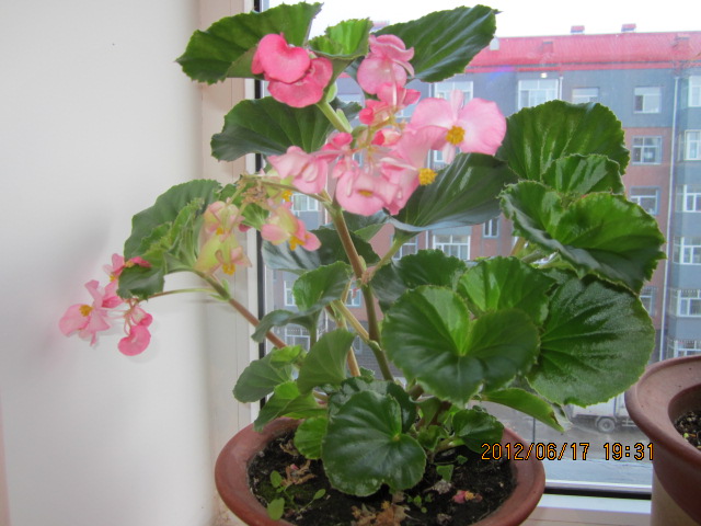 复件 IMG_0437.JPG