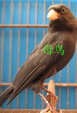 QQ图片20131217090953.jpg