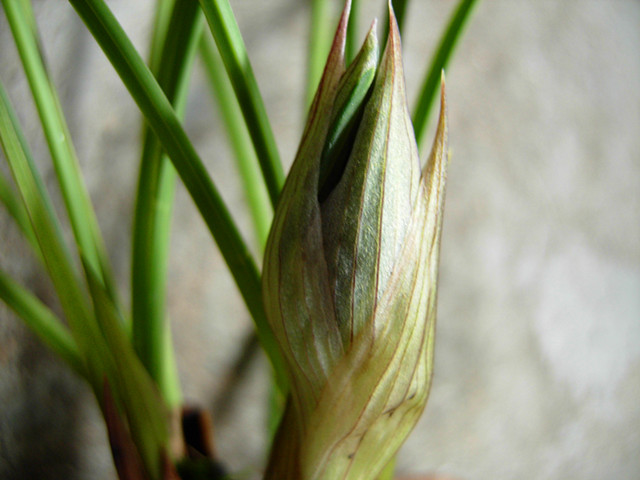 DSCN1260.JPG