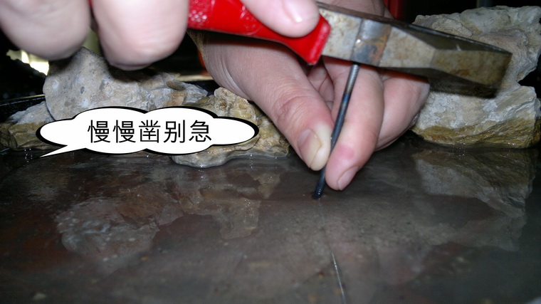 照片 015.jpg