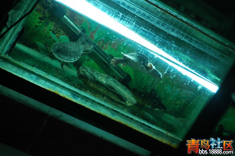 照片 225.jpg